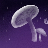 Síndromes de cuento de hadas: 7 enfermedades reales "ficticias"