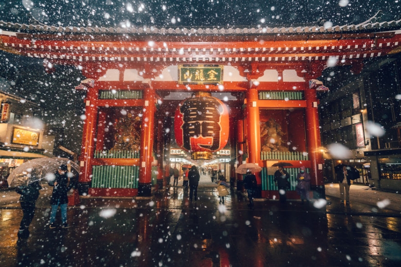 Snowy Tokyo Snowy Tokyo