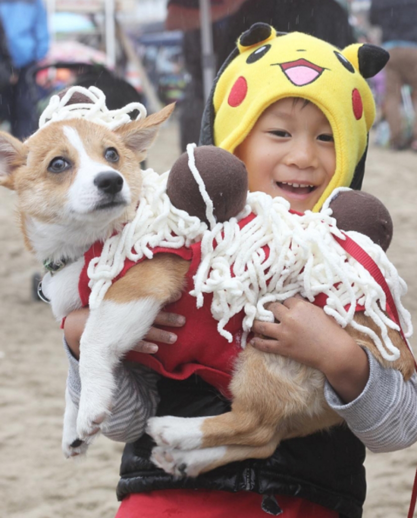 So many cute corgis you've never seen before So many cute corgis you've never seen before