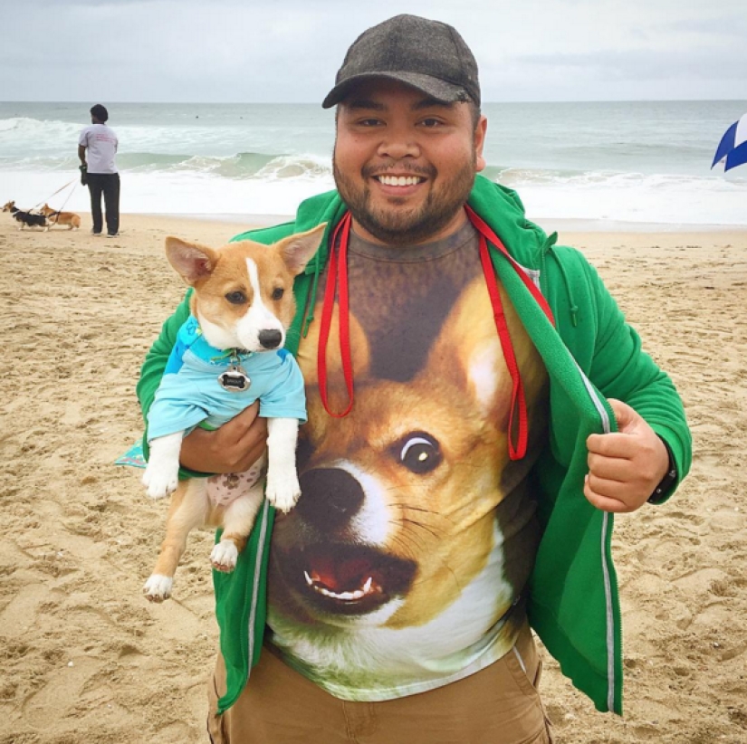 So many cute corgis you've never seen before So many cute corgis you've never seen before