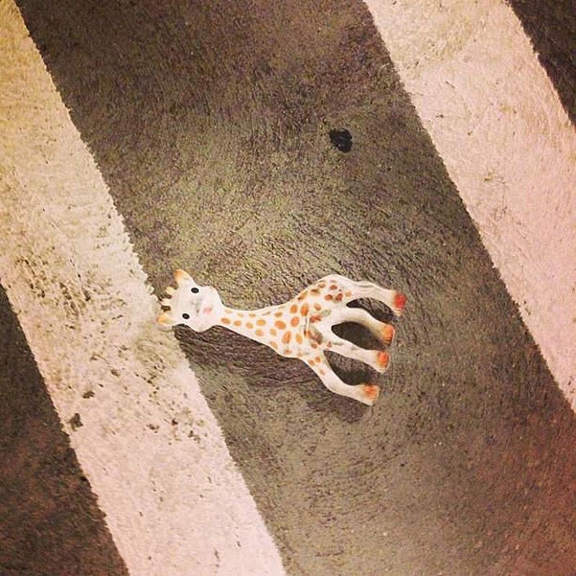 Sociedad de juguetes abandonados