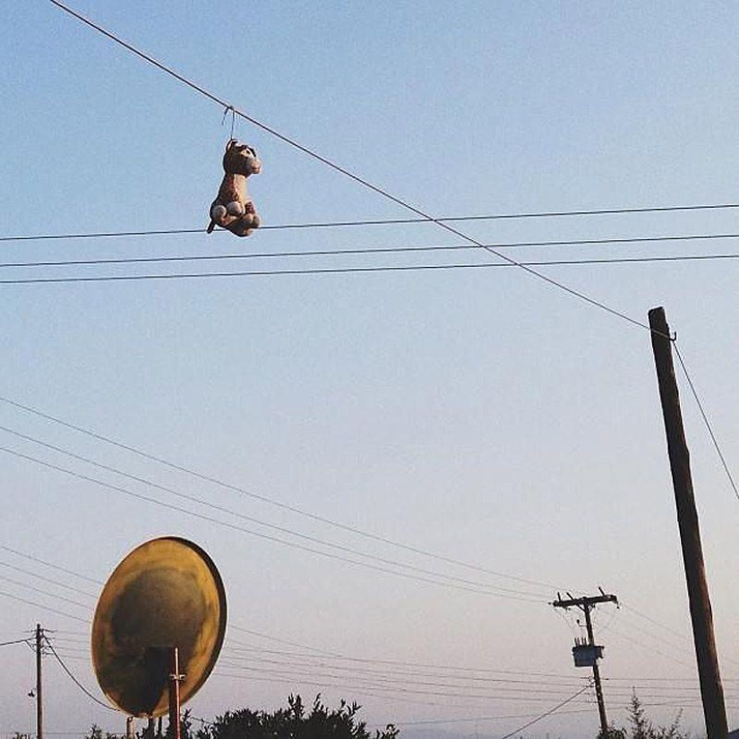 Sociedad de juguetes abandonados