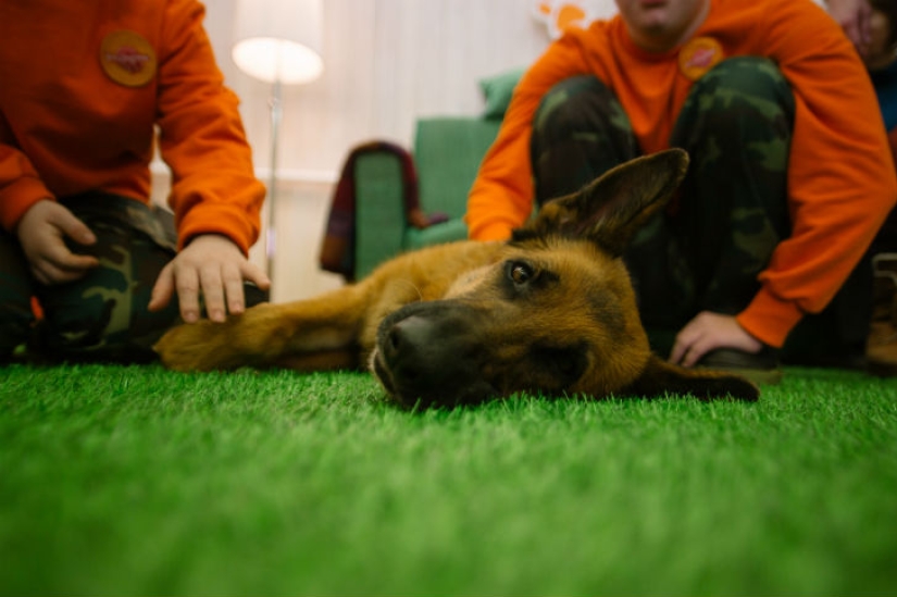“Sol para mejor amigo”: cómo se ayudan perros y jóvenes con síndrome de Down