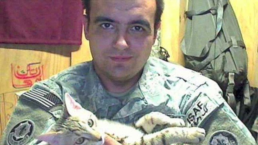 Soldado estadounidense trajo un gato de Afganistán Soldado estadounidense trajo un gato de Afganistán