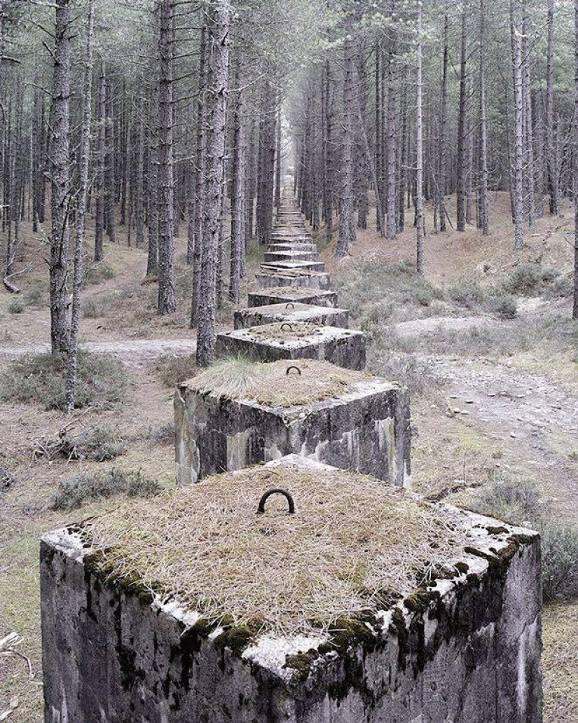 Sombra del defensor de la patria Sombra del defensor de la patria