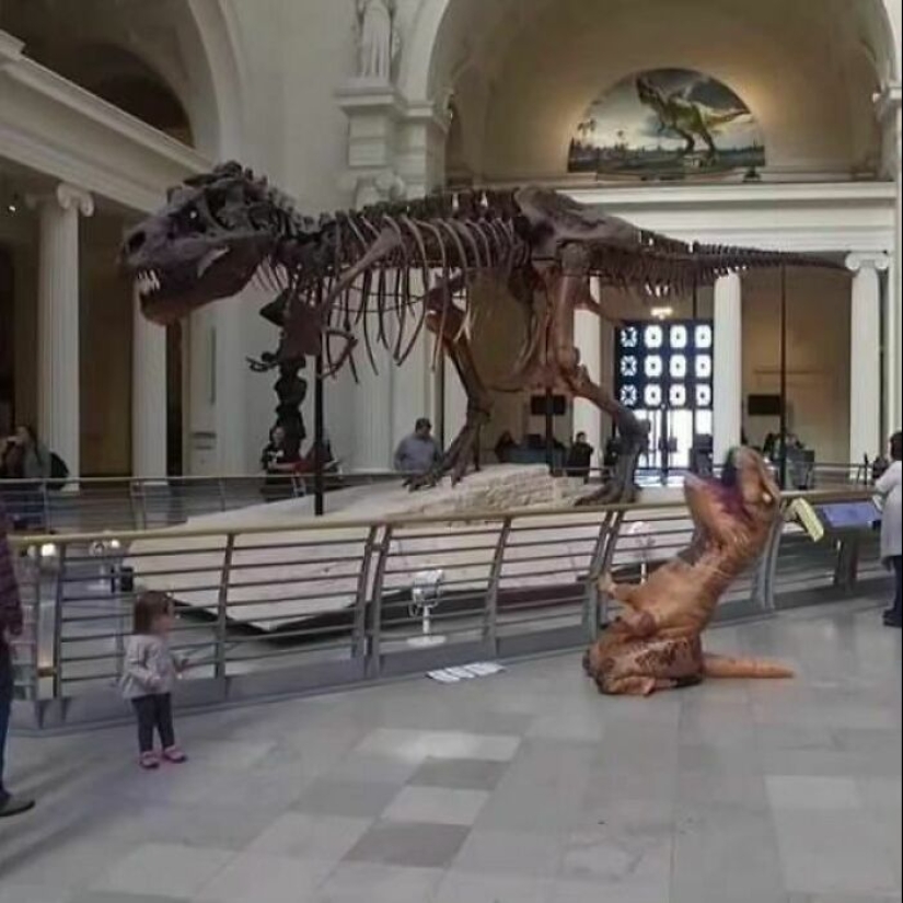 "Soy tímido, pero soy libre": 80 imágenes divertidas pero confusas