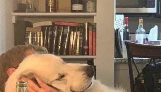 "Soy tímido, pero soy libre": 80 imágenes divertidas pero confusas