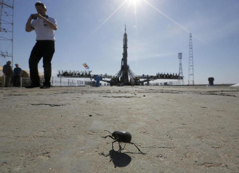 Soyuz launched from Baikonur with an expedition to the ISS