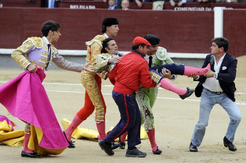 Spanish bulls win historic victory