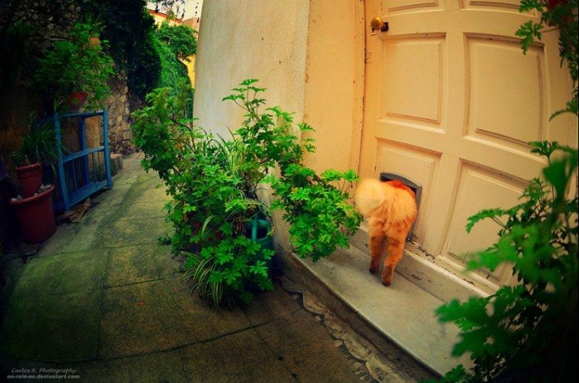 Spirit of the big city Spirit of the big city