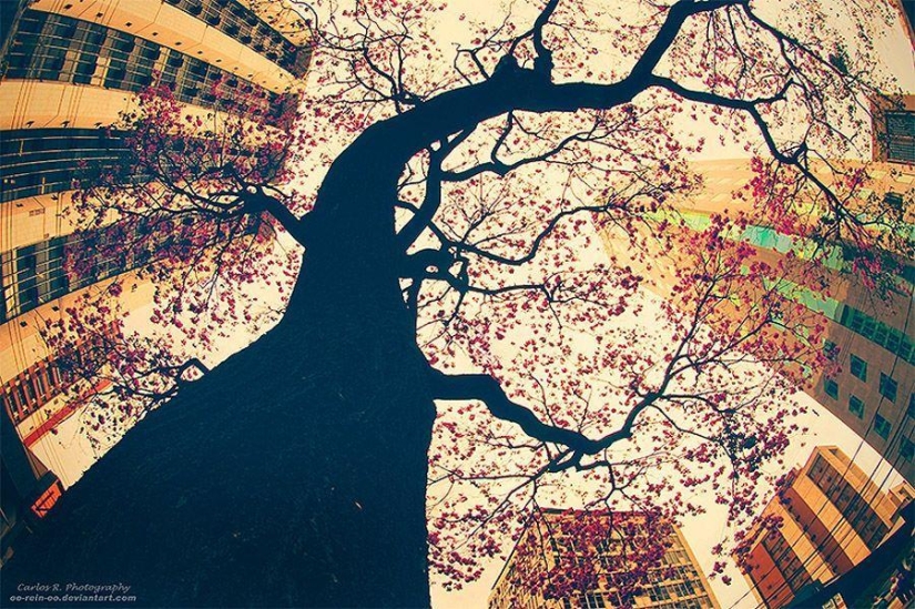 Spirit of the big city Spirit of the big city