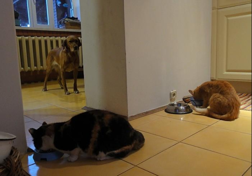 Spring day in the Russian village