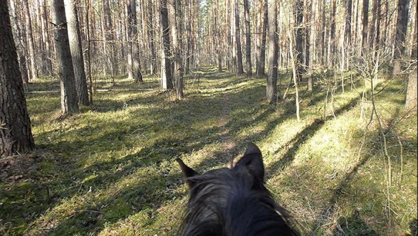 Spring day in the Russian village