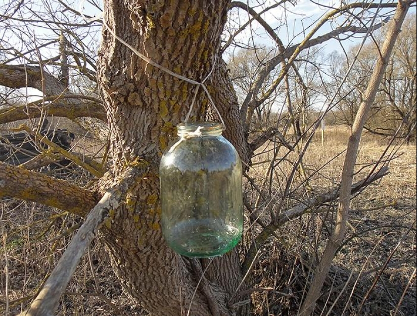 Spring day in the Russian village