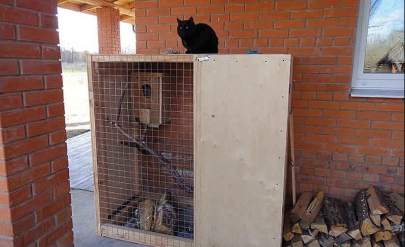 Spring day in the Russian village