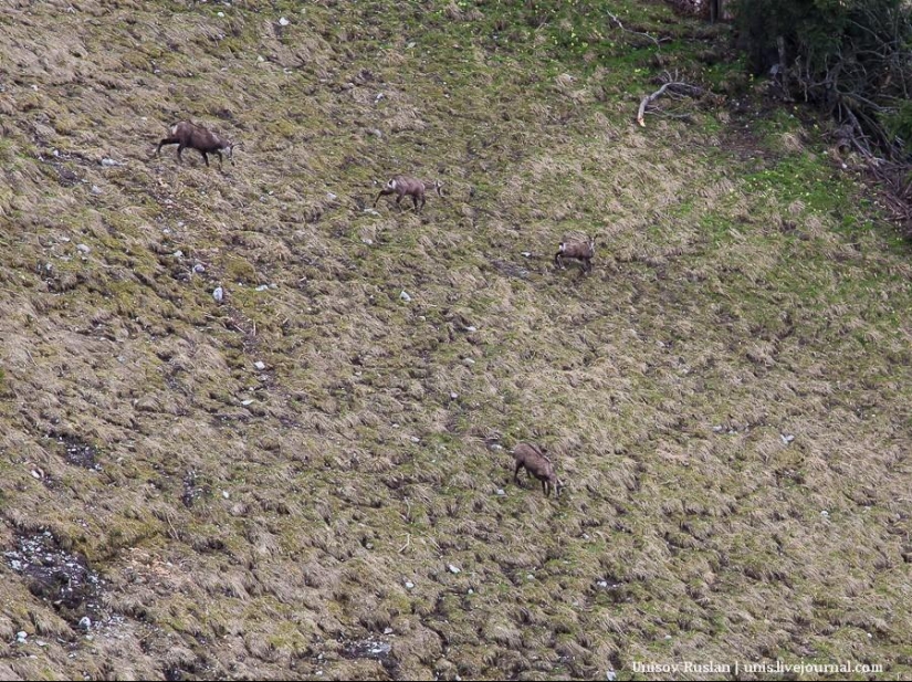 Stanserhorn Cabrio - cabina de teleférico de dos pisos