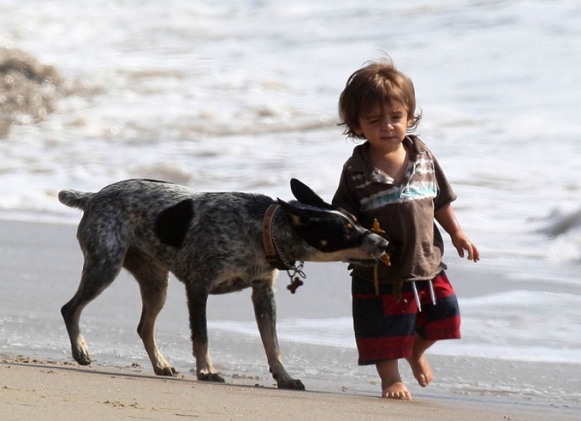 Star children who are cooler than their parents Star children who are cooler than their parents