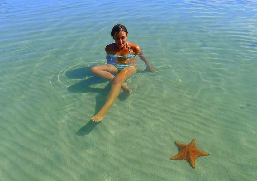 Starfish Beach - Boca del Drago