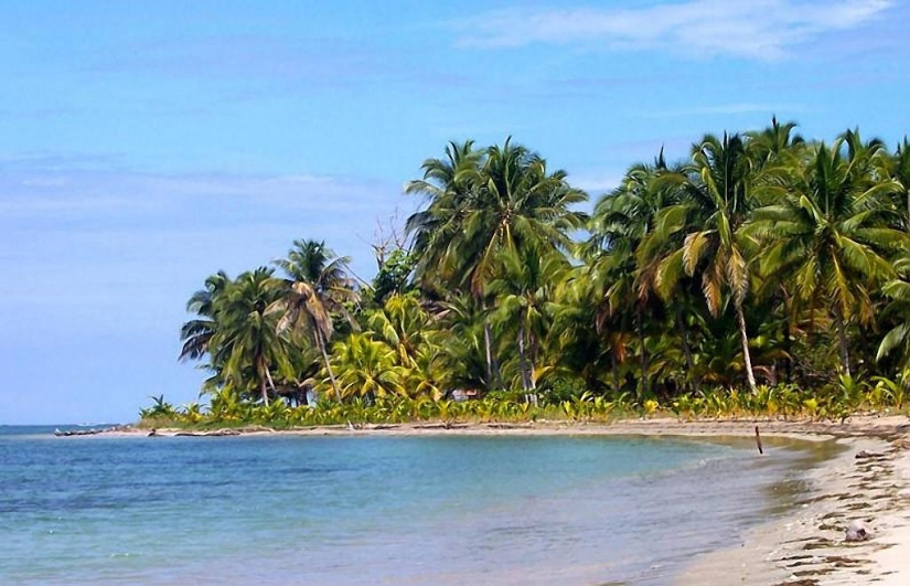 Starfish Beach - Boca del Drago