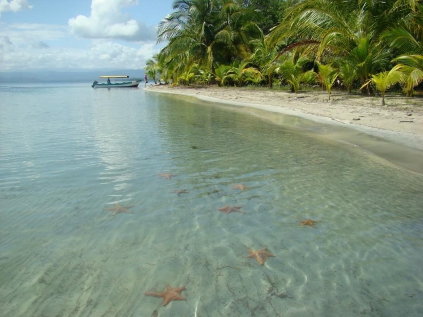 Starfish Beach - Boca del Drago