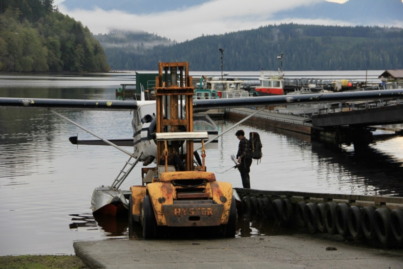 Stay alive at all costs