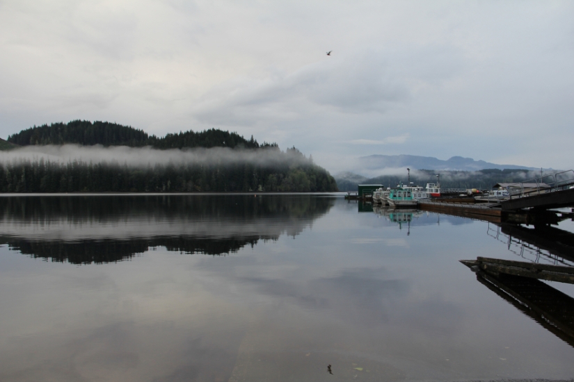 Stay alive at all costs