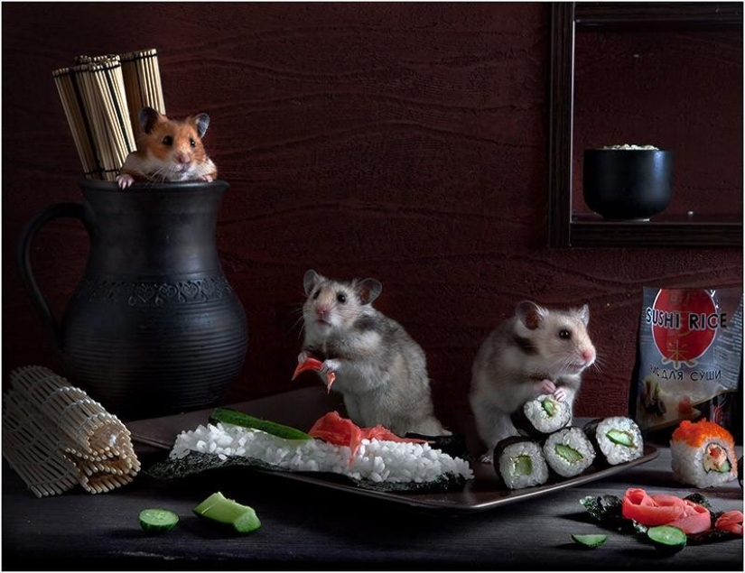 Still lifes with hamsters Still lifes with hamsters