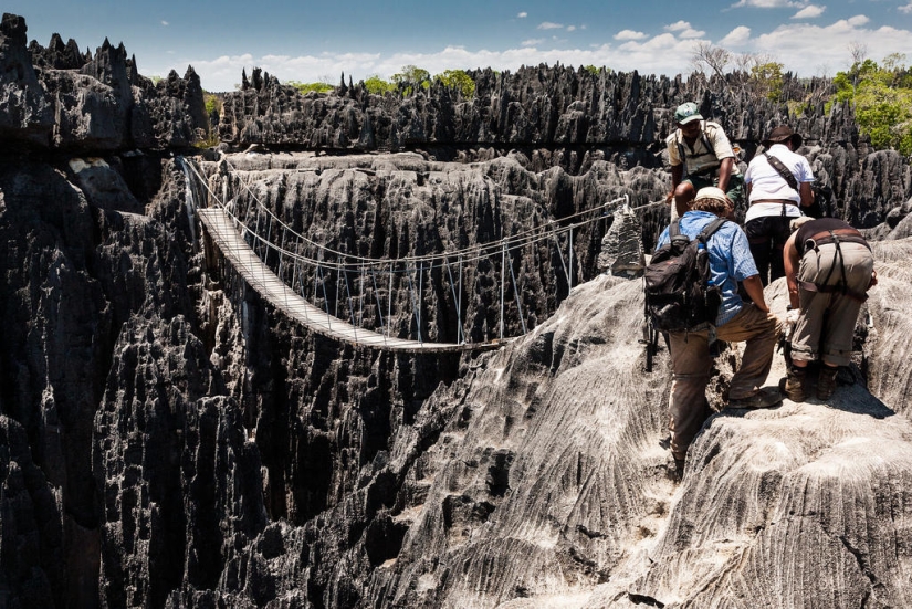 Stone forest in Madagascar Stone forest in Madagascar