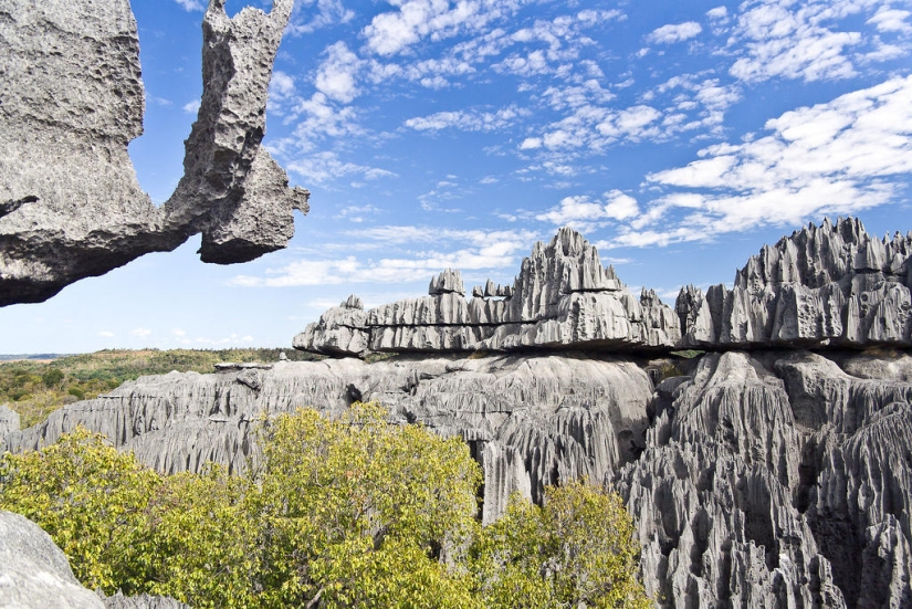 Stone forest in Madagascar Stone forest in Madagascar