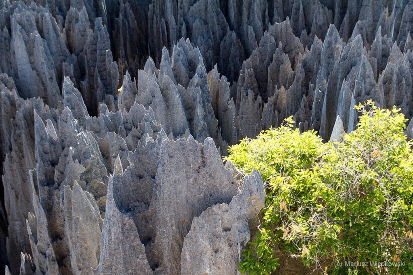 Stone forest in Madagascar Stone forest in Madagascar