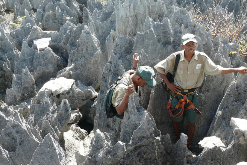 Stone forest in Madagascar Stone forest in Madagascar