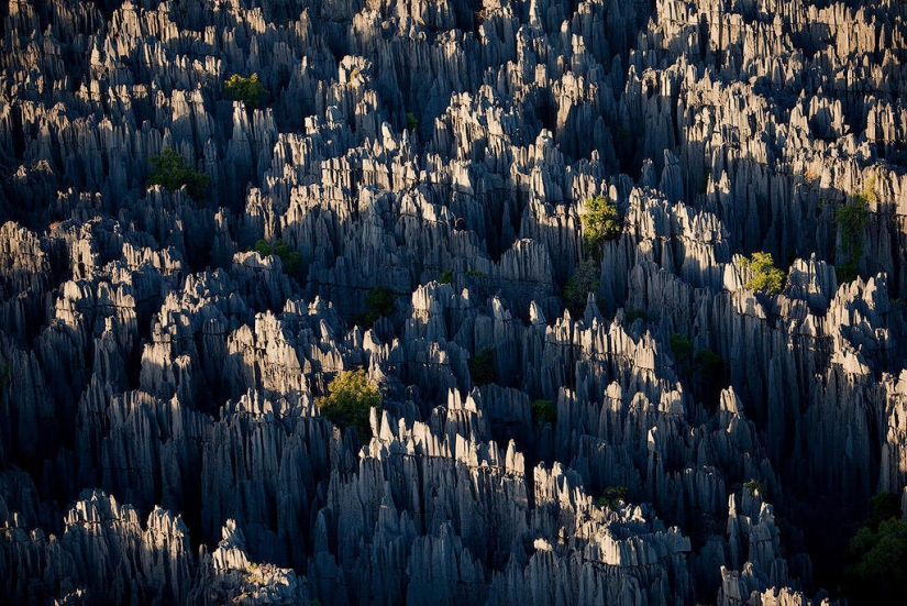 Stone forest in Madagascar Stone forest in Madagascar
