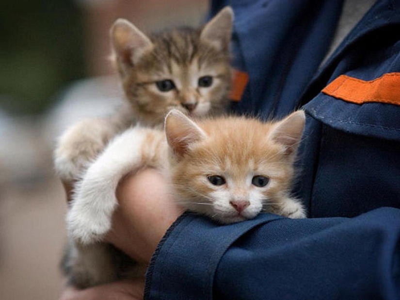 Stop looking for excuses, start helping Stop looking for excuses, start helping