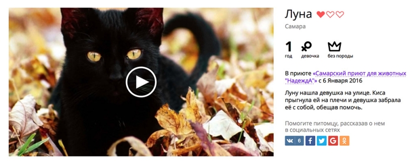 Stop looking for excuses, start helping Stop looking for excuses, start helping