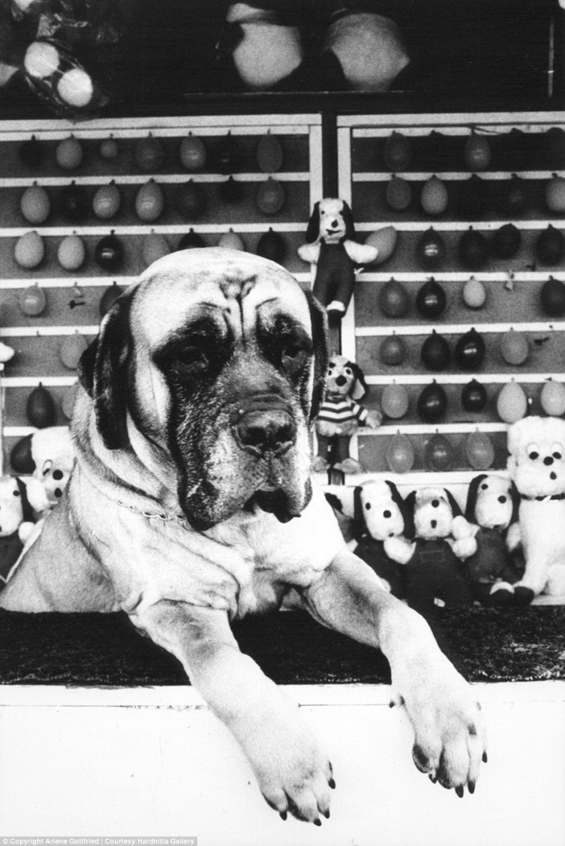 Strange characters of New York in the lens of Arlene Gottfried from the 1970s to the present day Strange characters of New York in the lens of Arlene Gottfried from the 1970s to the present day