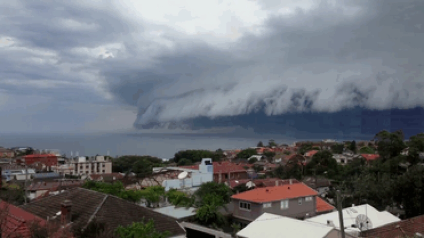 Strange tsunami cloud over Sydney Strange tsunami cloud over Sydney