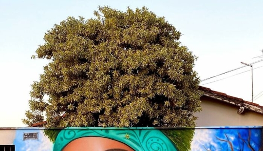 Street Artist Continues To Paint Portraits On Walls Next To Trees That Double As Hair