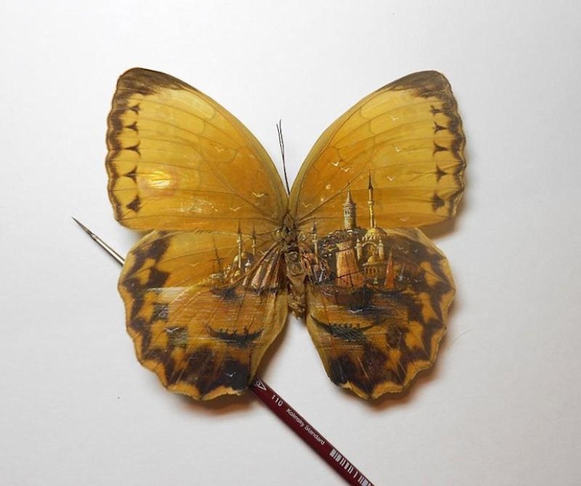 Stunning micro-drawings on unusual canvases Stunning micro-drawings on unusual canvases