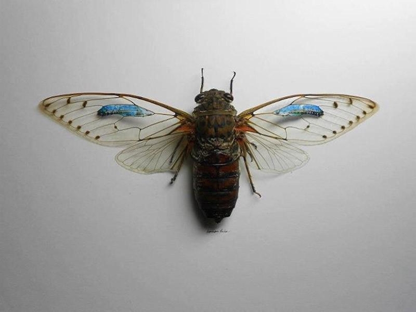 Stunning micro-drawings on unusual canvases Stunning micro-drawings on unusual canvases