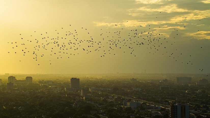 Stunning skies over Miami Stunning skies over Miami