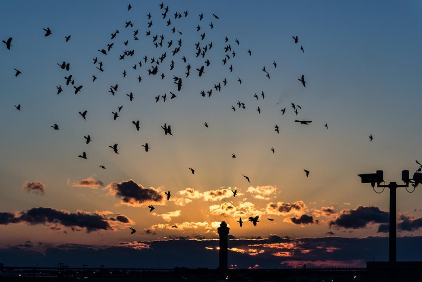 Stunning skies over Miami Stunning skies over Miami