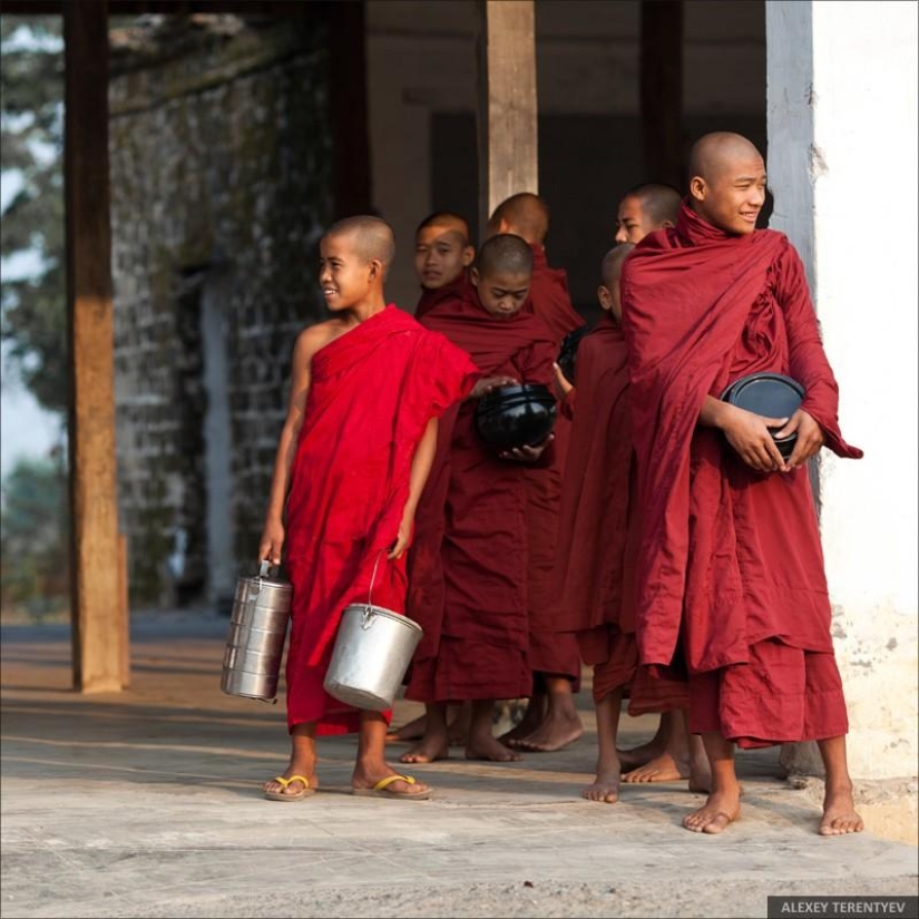 Sunrise over rice fields and monks feeding