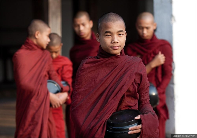 Sunrise over rice fields and monks feeding
