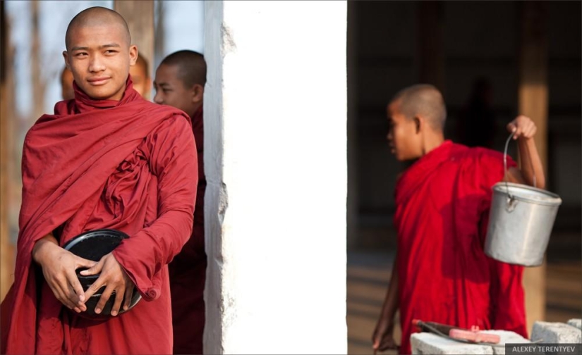 Sunrise over rice fields and monks feeding