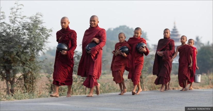 Sunrise over rice fields and monks feeding