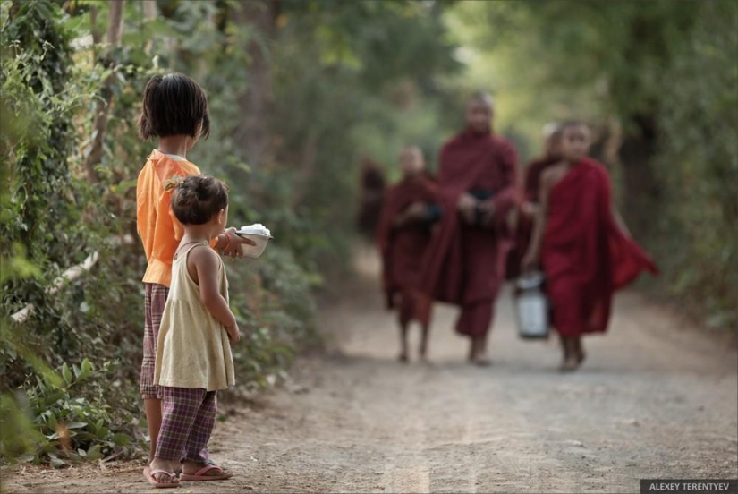 Sunrise over rice fields and monks feeding