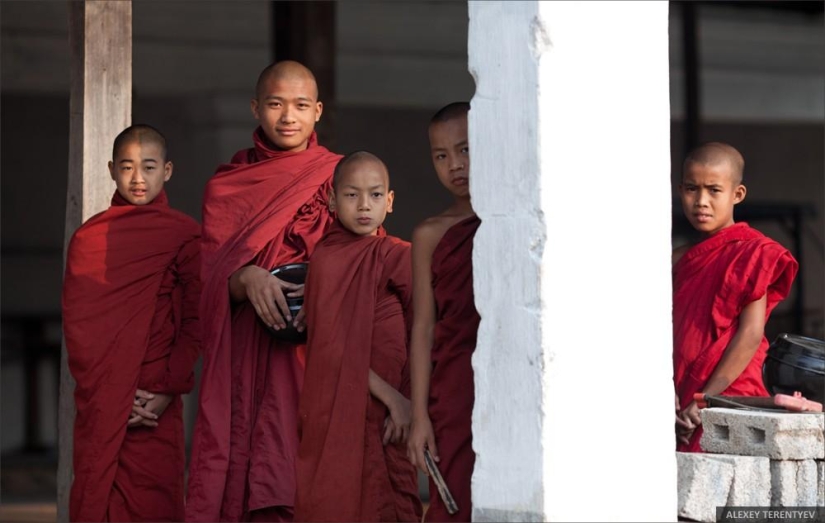 Sunrise over rice fields and monks feeding