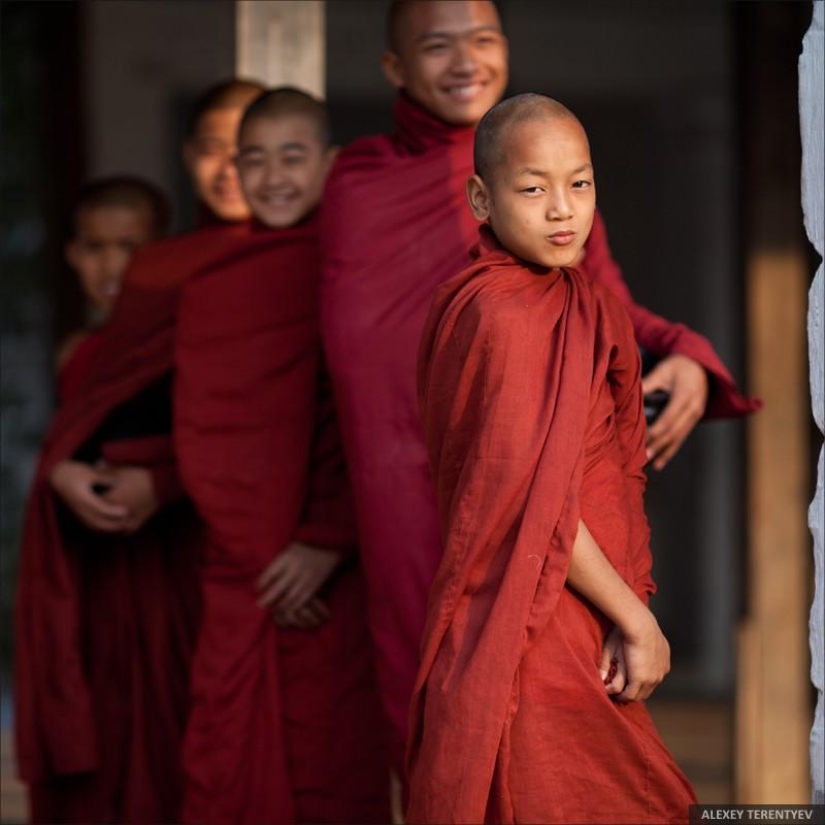 Sunrise over rice fields and monks feeding
