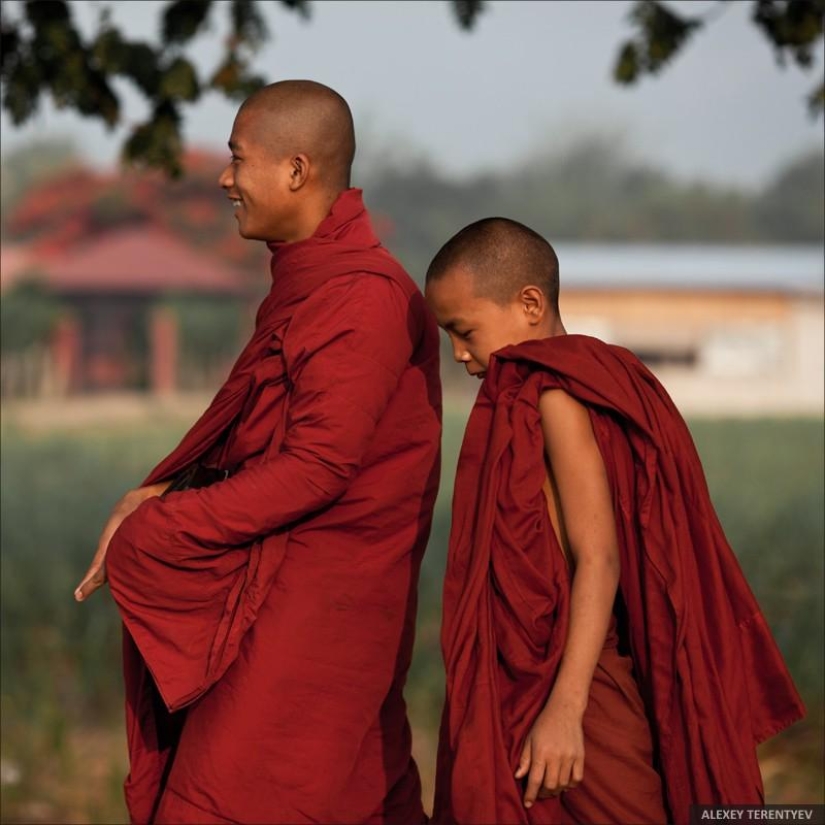 Sunrise over rice fields and monks feeding