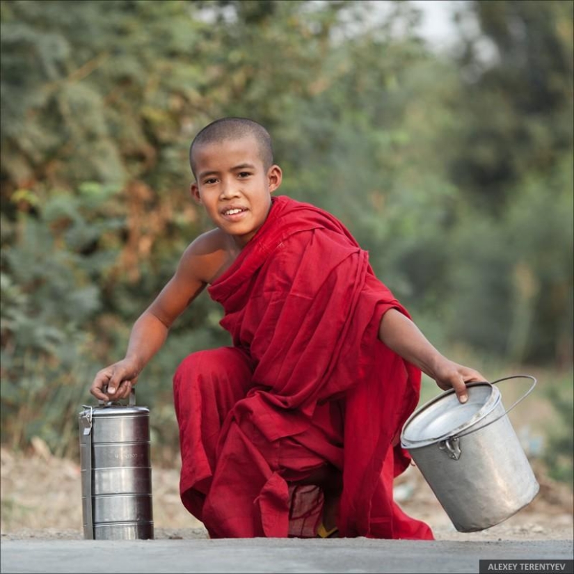 Sunrise over rice fields and monks feeding